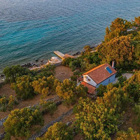 House Bjankura بيت للعطل